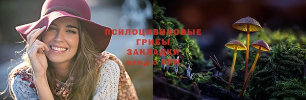 трава Беломорск