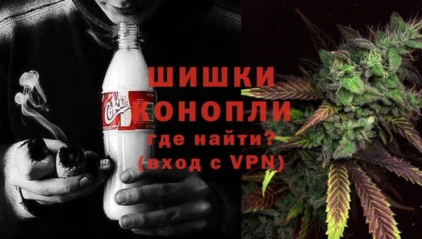 ПСИЛОЦИБИНОВЫЕ ГРИБЫ Белокуриха