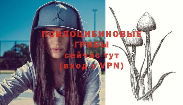соль курить ск Балахна