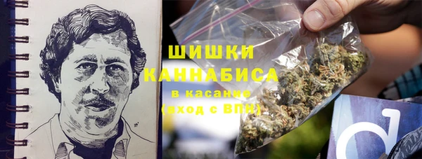 ПСИЛОЦИБИНОВЫЕ ГРИБЫ Белокуриха