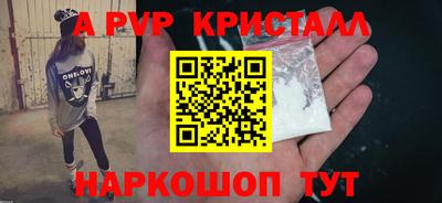 индика Пугачёв