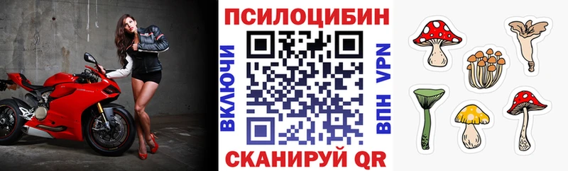 Галлюциногенные грибы GOLDEN TEACHER Соль-Илецк