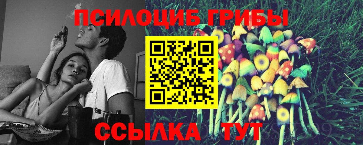 Псилоцибиновые грибы мухоморы Соль-Илецк